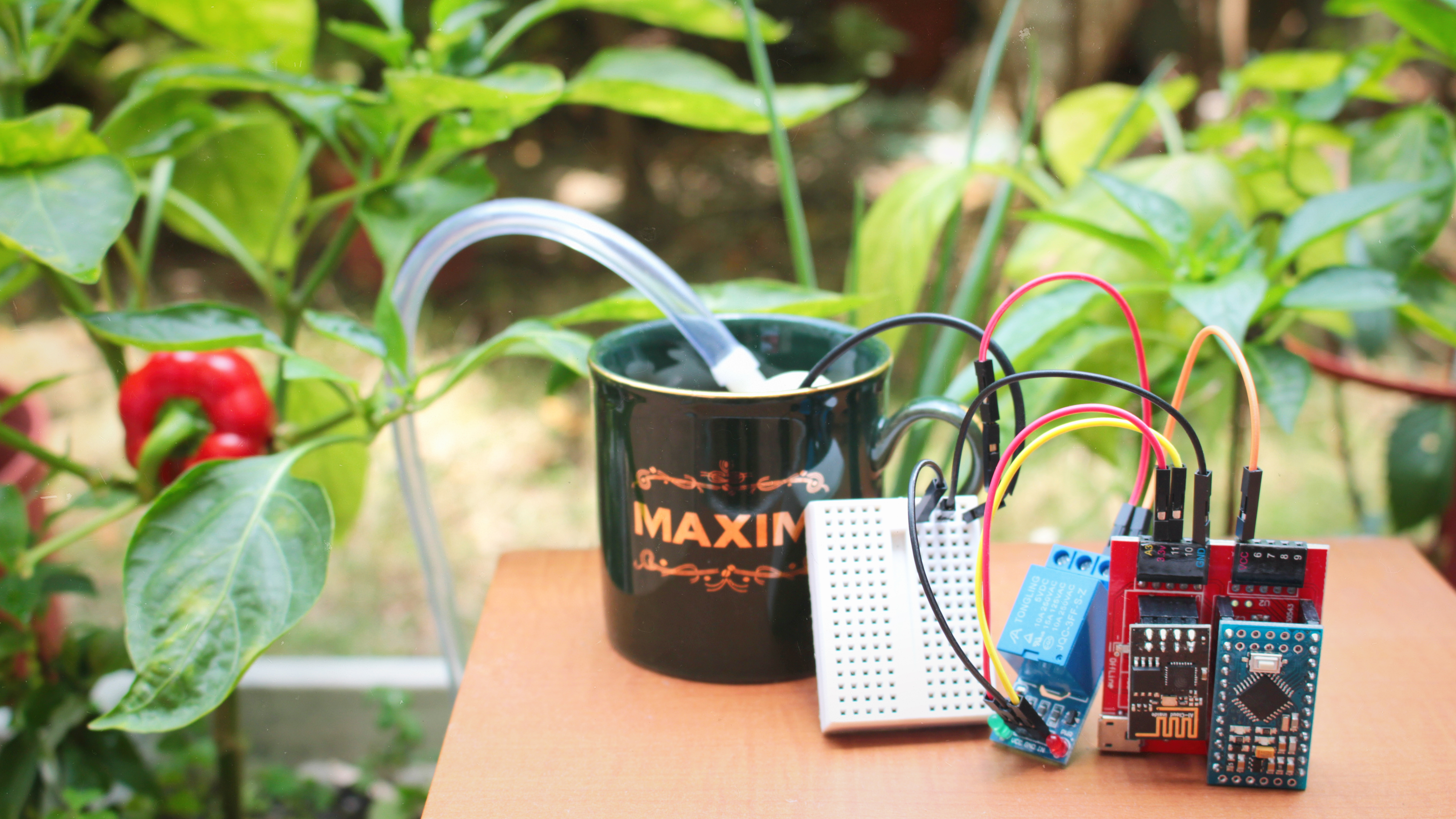 實作智慧澆花專題